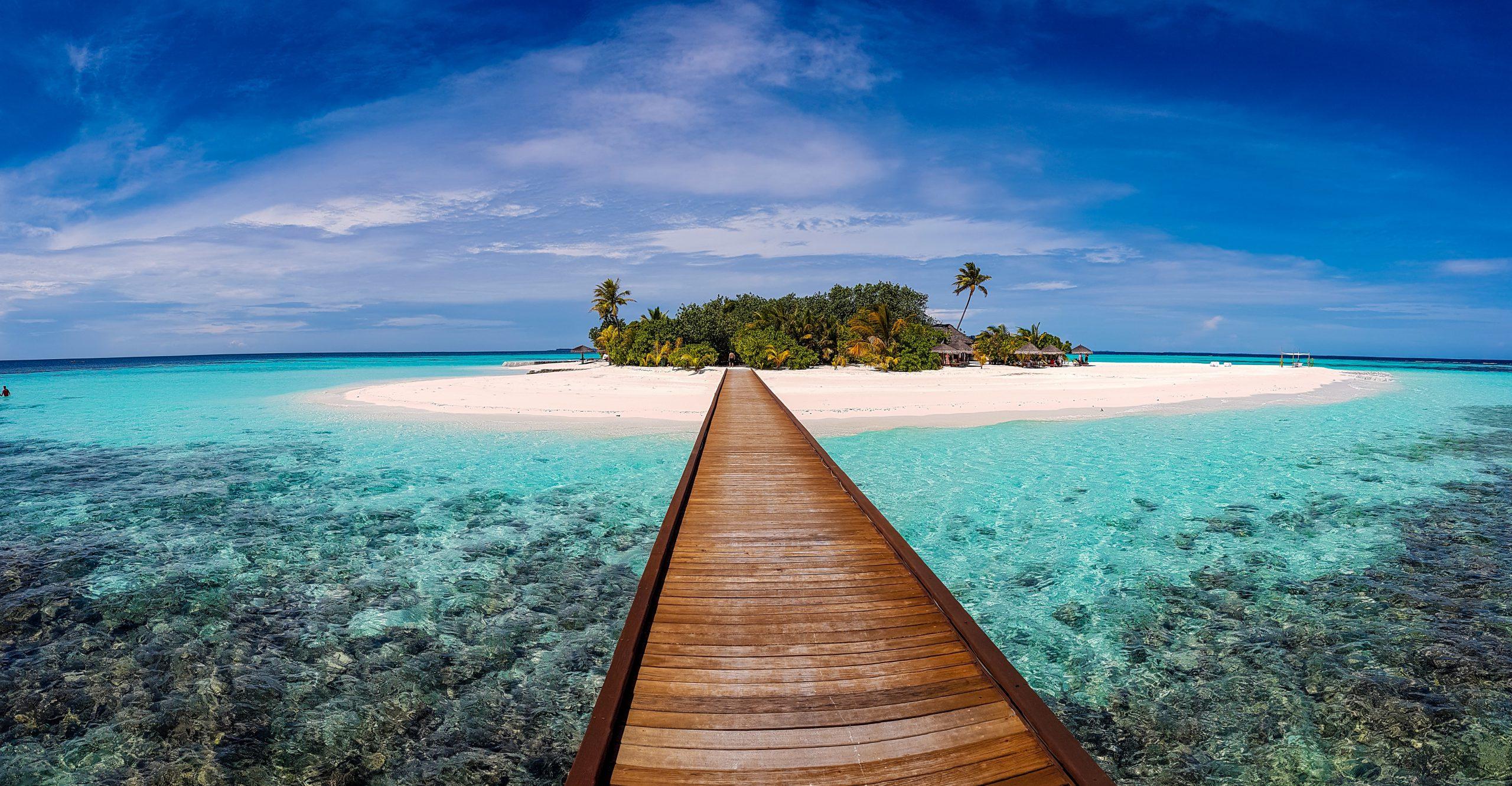 Strand met palmboom, symbool voor werken vanaf een tropisch eiland